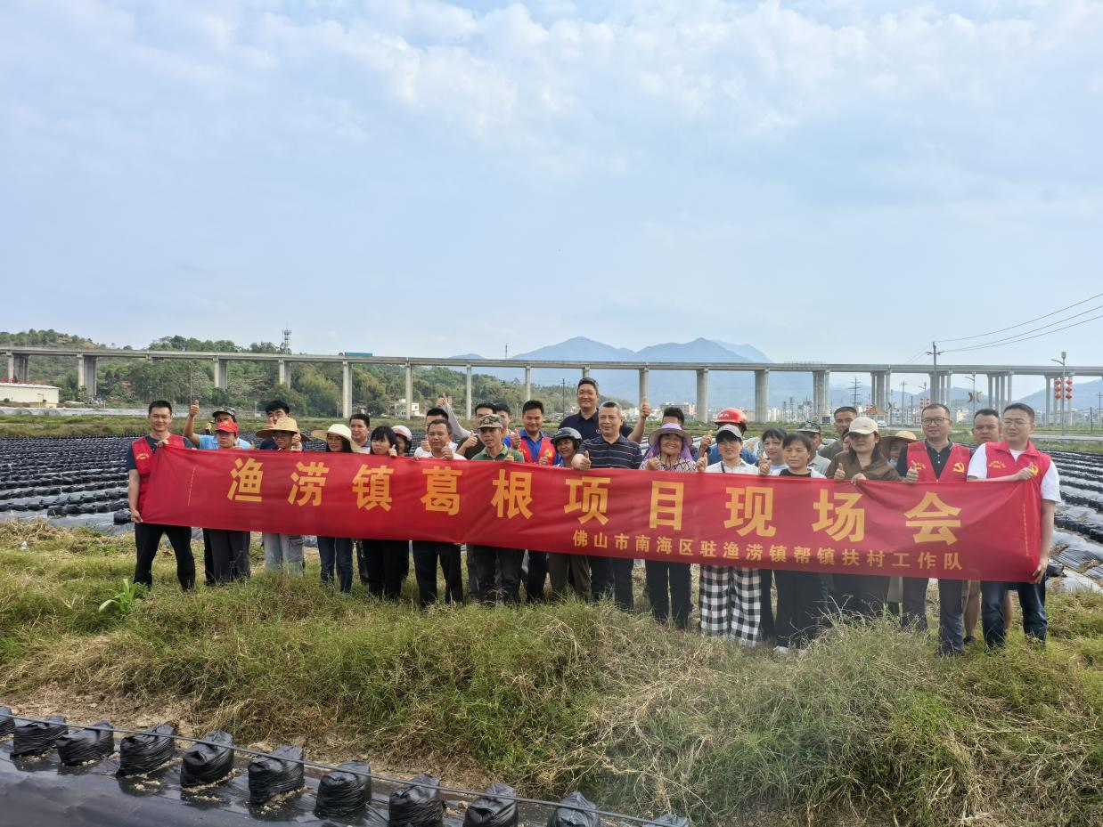 “工作队+村委会”引进粉葛种植为渔涝“百千万工程”赋予新动能