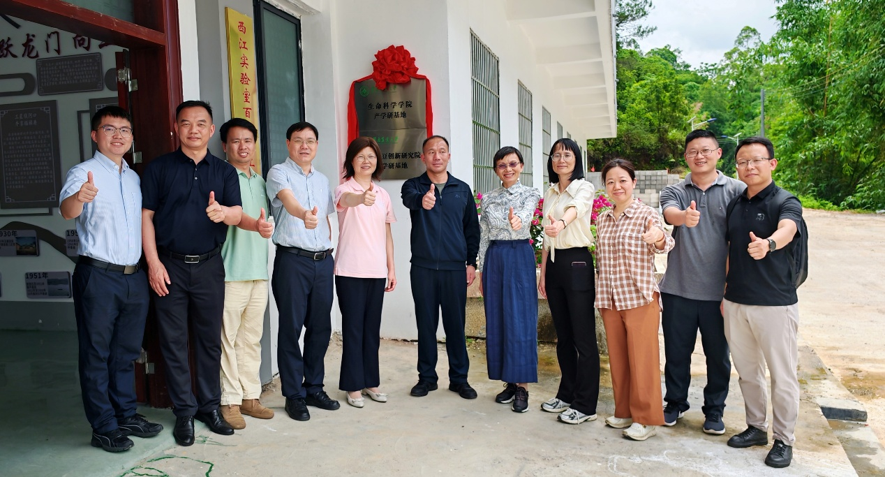 封开大玉口多方联动深化产学研合作推动传统腐竹产业向标准化、品牌化转型