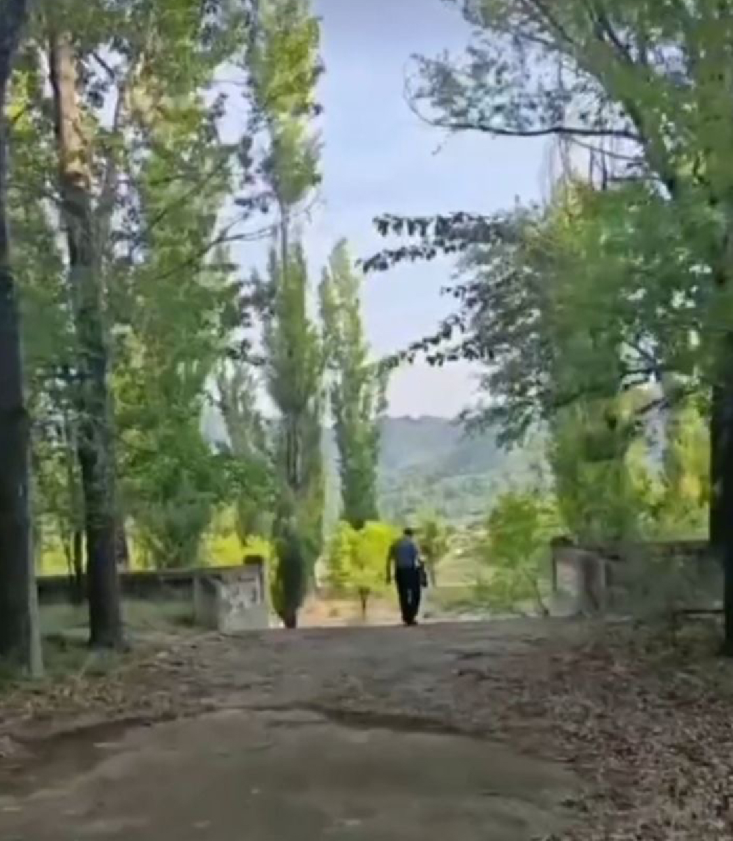 张传明‖又  见   龙   湾 ——重返第二故乡记