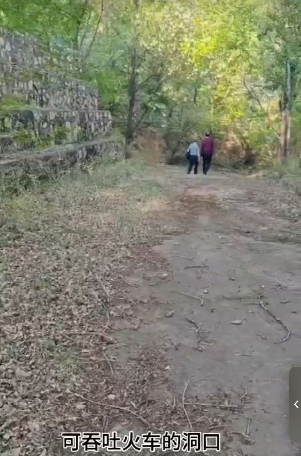 张传明‖又  见   龙   湾 ——重返第二故乡记