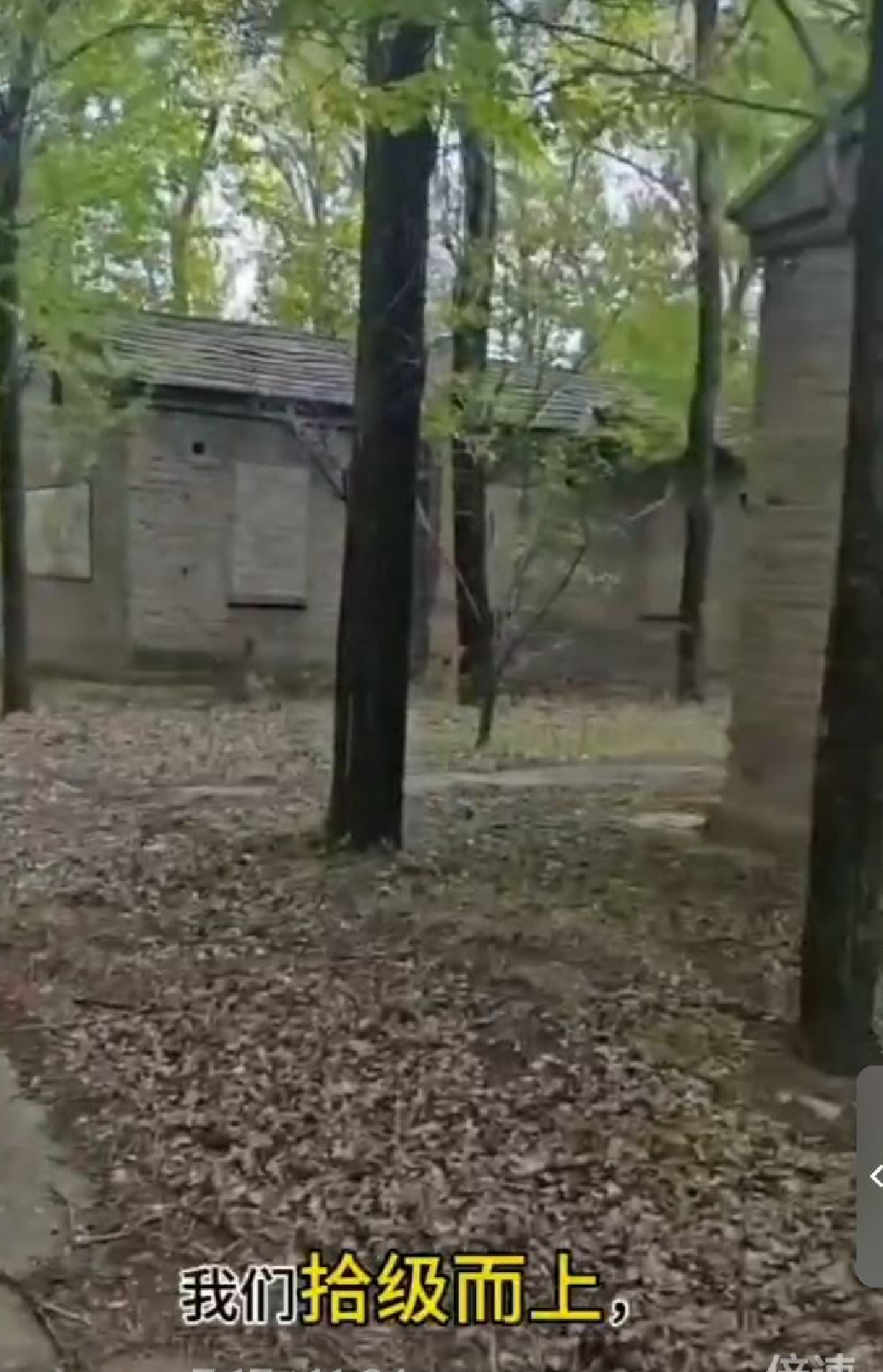 张传明‖又  见   龙   湾 ——重返第二故乡记