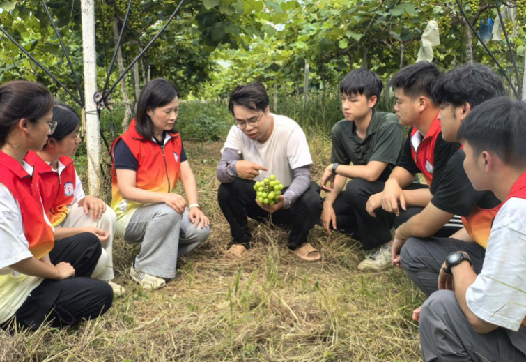“菠萝兴农，甜享未来”青年突击队共绘“绿美江川”农文旅融合崭新蓝图