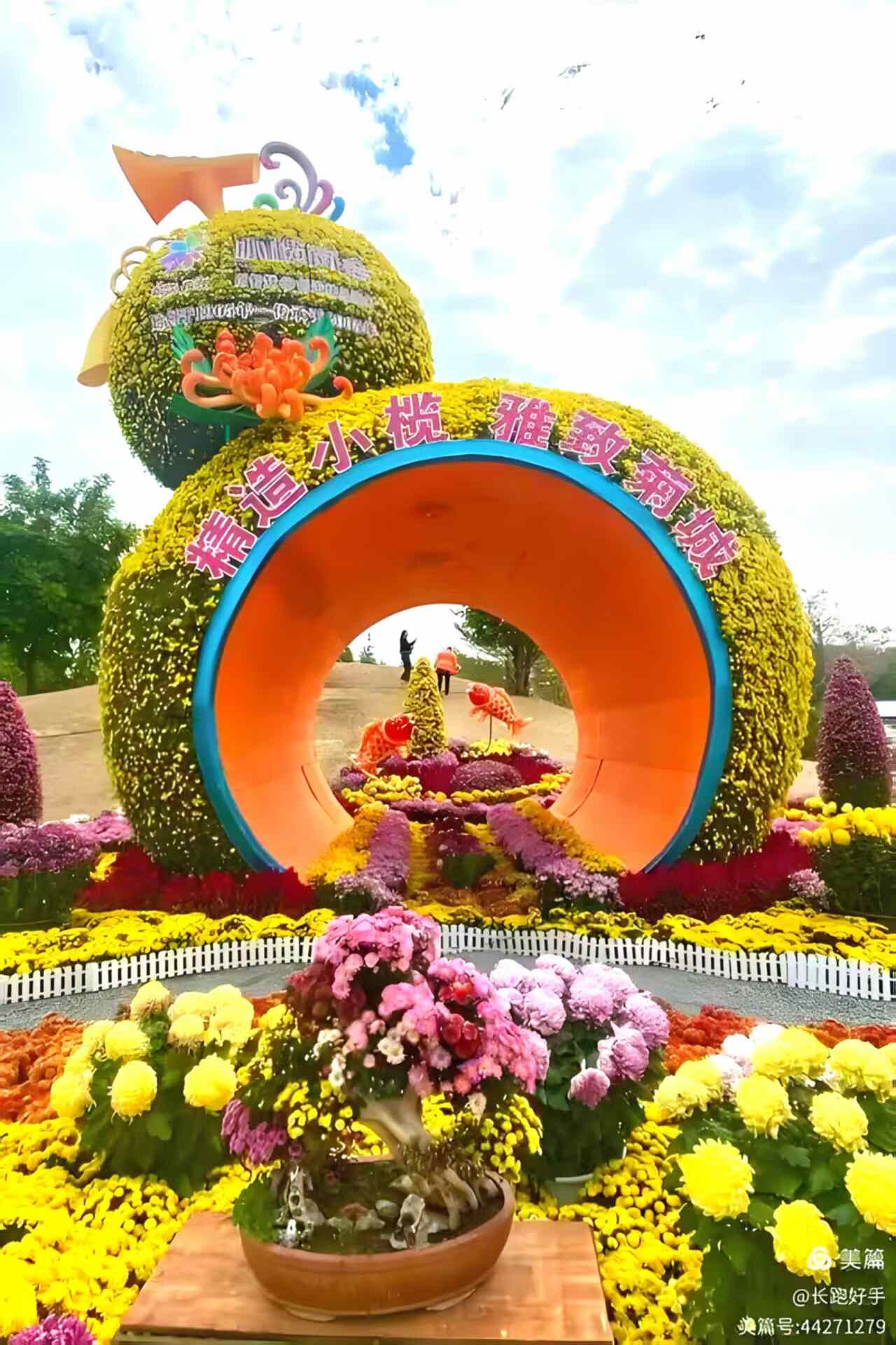 湾区秋日盛宴：小榄菊花会梦幻登场，AI互动与灯光秀邀您共赏“昼夜双景”