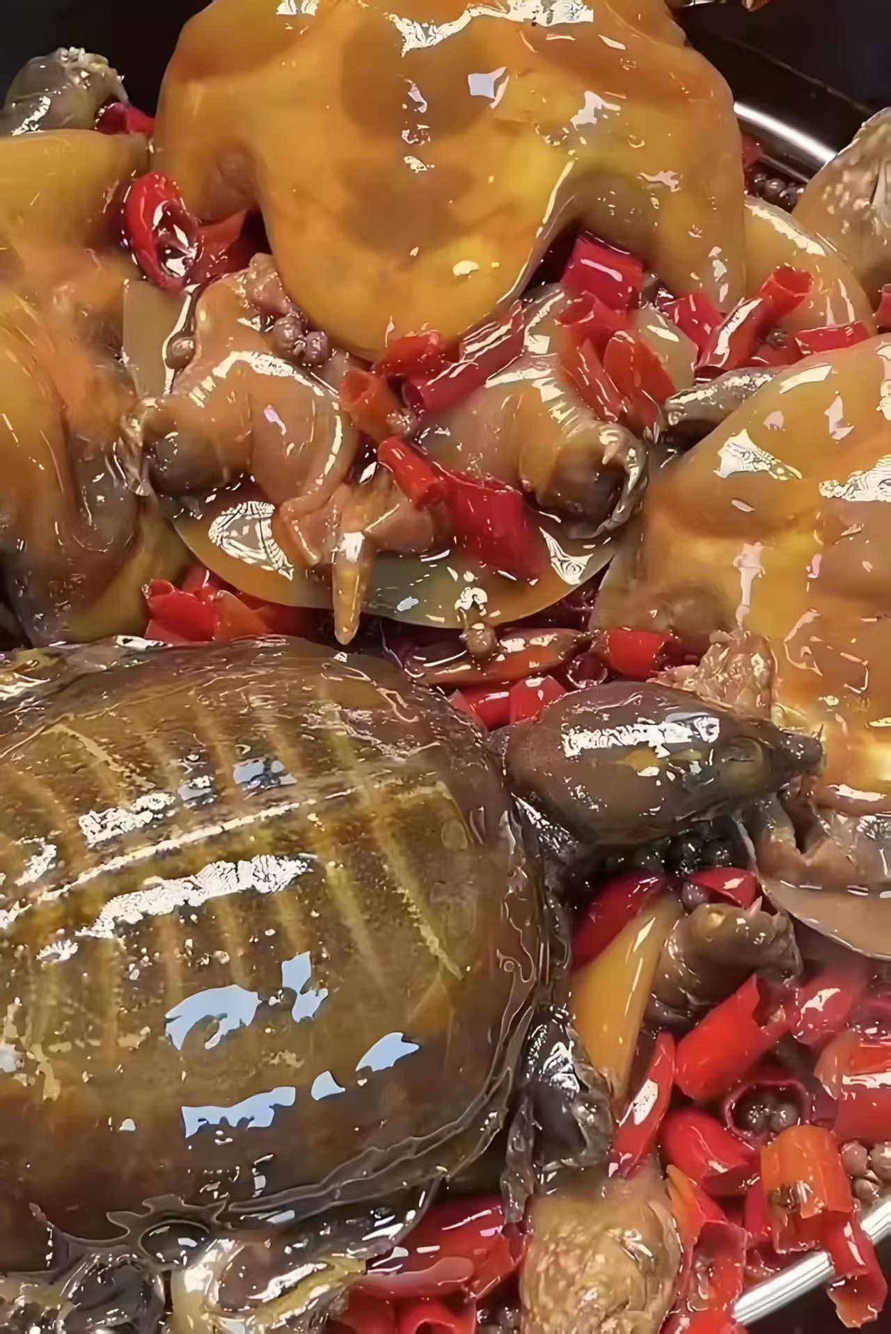 湖南省文旅消费节启幕：“惠民消费券+多元活动”双线驱动，焕新文旅市场活力