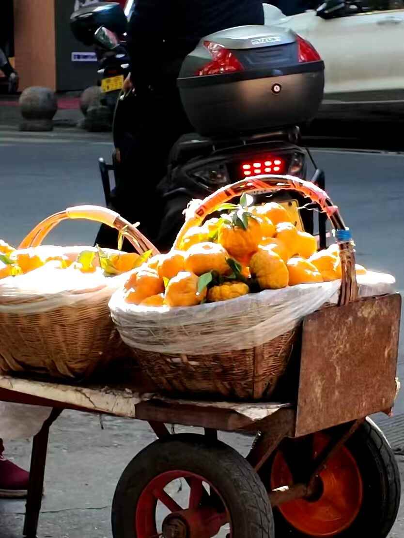 旬阳狮头柑甜蜜上市，秦岭孕育的“黄金果”