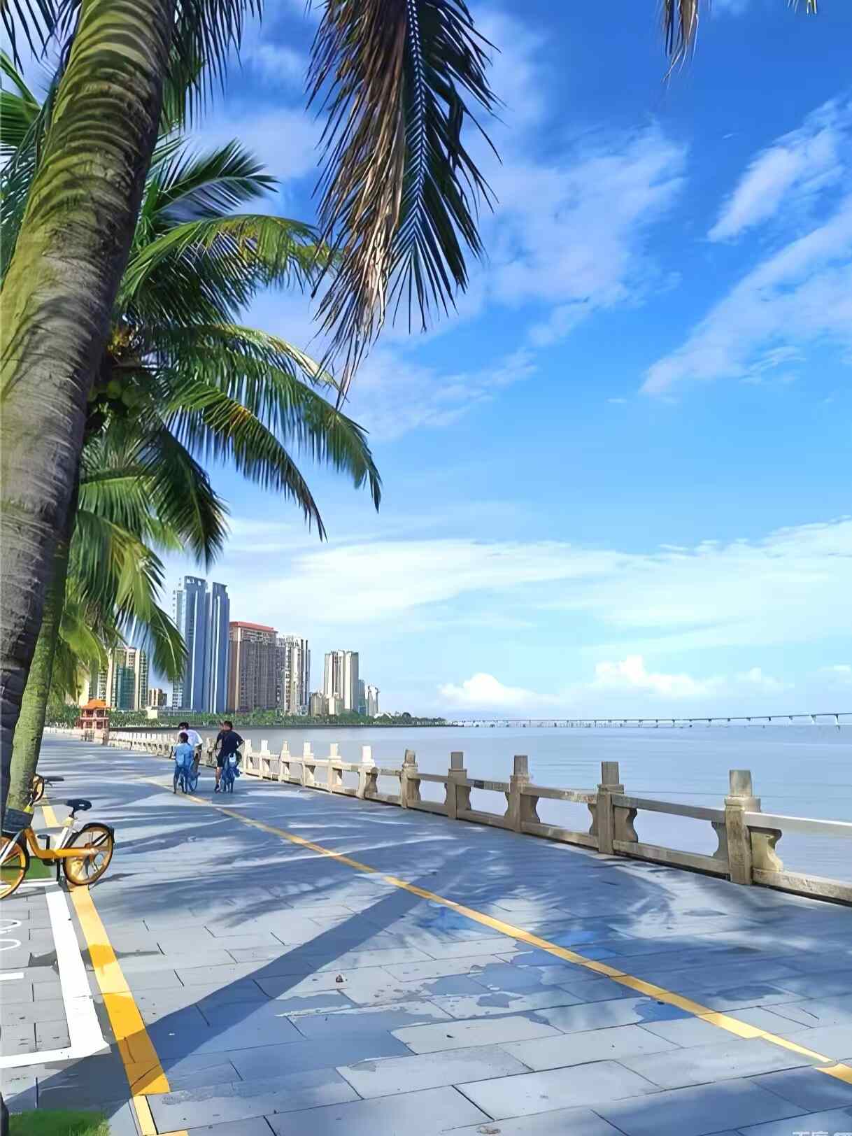 暖冬年味，浪漫相约——2026，欢迎来珠海过春节