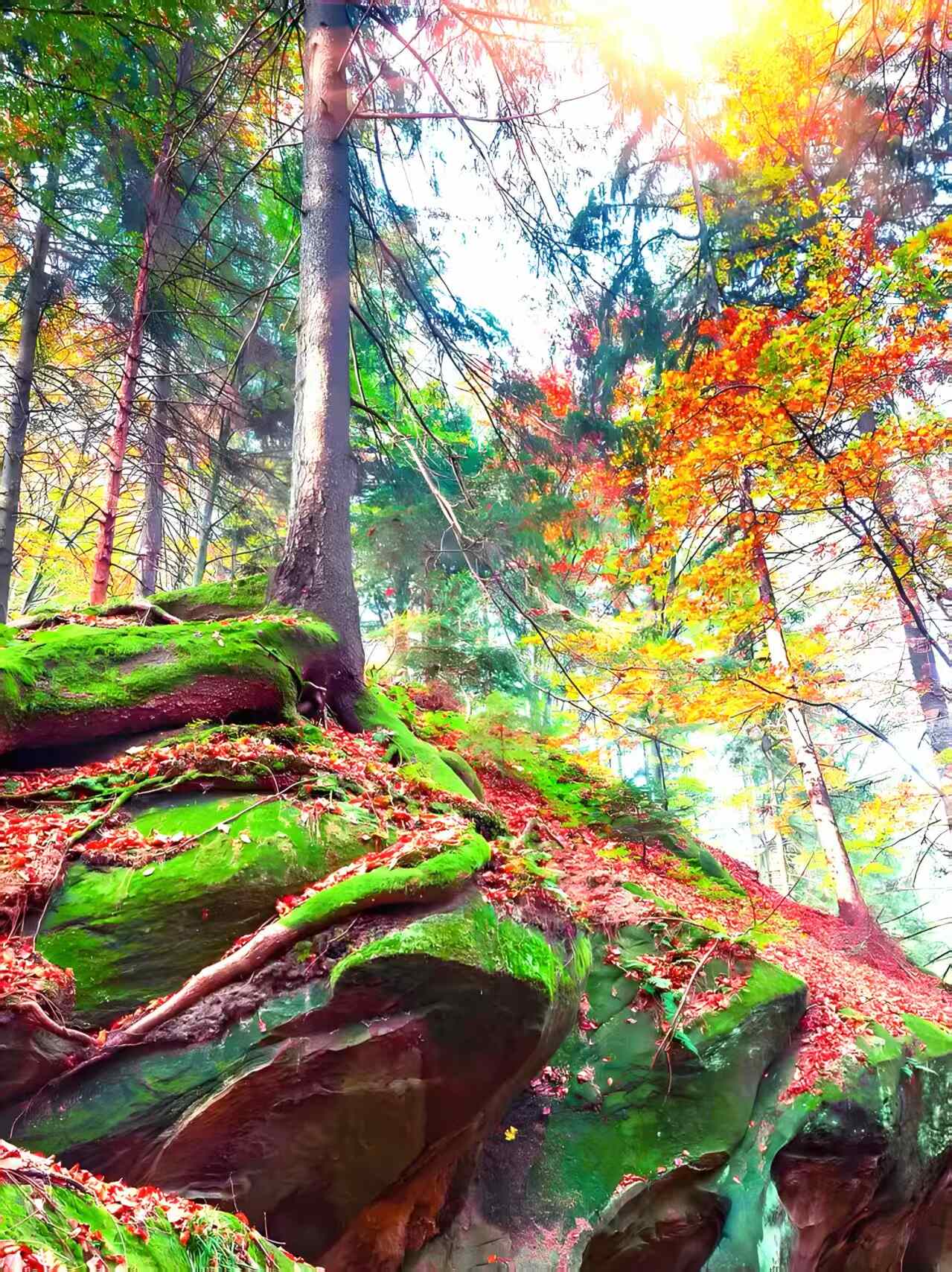 偏东、向北，遇见桦甸的万千惊艳