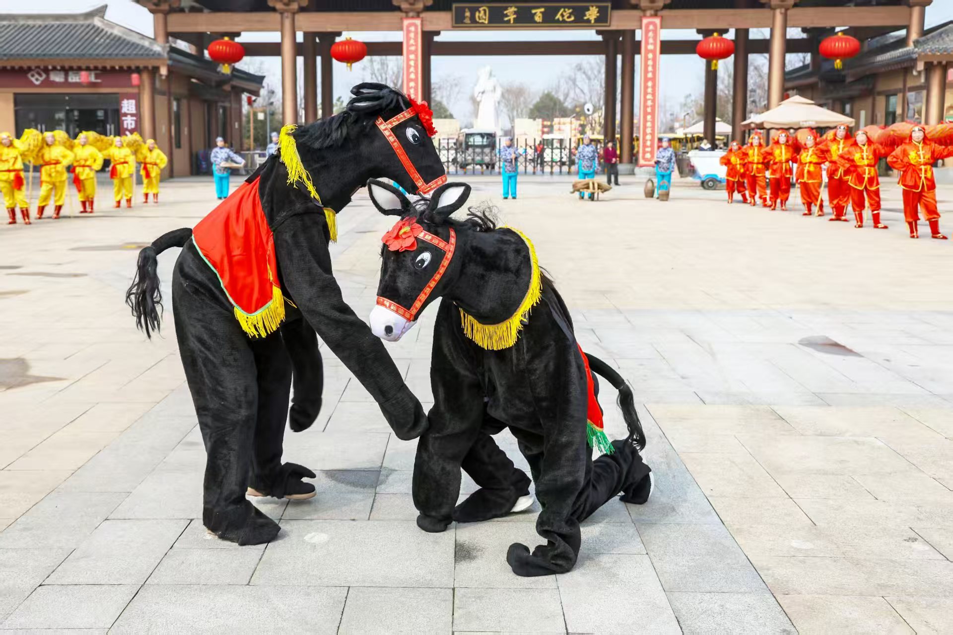 沉浸式体验农耕文化 亳州华佗百草园第四届神医开圃节启幕